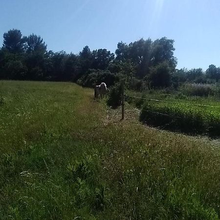 Maison Individuelle 5 Couchages Dans Ferme Equestre Aups Exterior foto